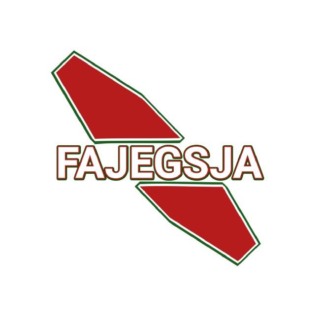Fajegsja