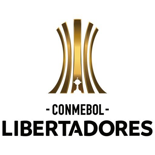 14 - Copa Libertadores 2011