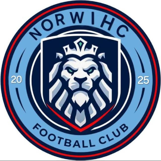 Norwich city
