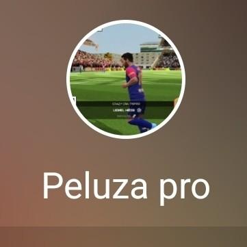 Peluza pro