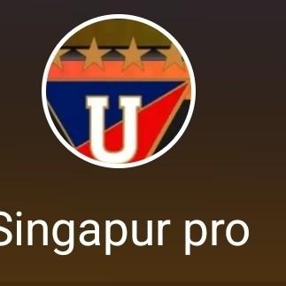Singapur pro