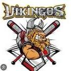VIKINGOS