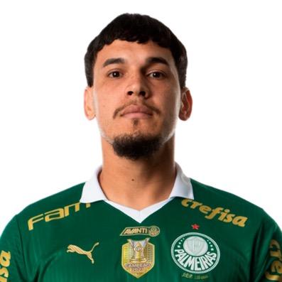GUSTAVO GOMEZ