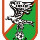 Sokół Kleczew