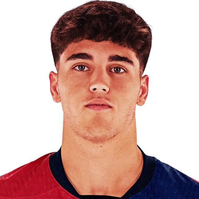 PAU CUBARSI