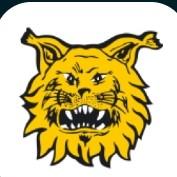 Ilves