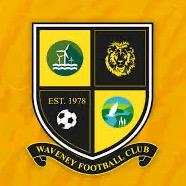 Waveney Jaguars