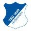 [BUND] Hoffenheim