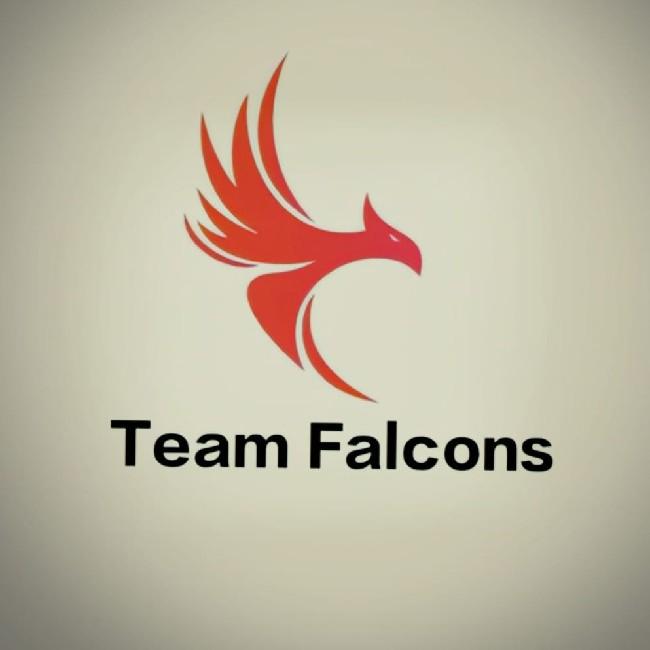 TEAM FALCONS