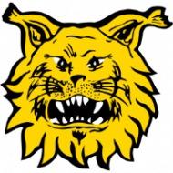 Ilves Tampere