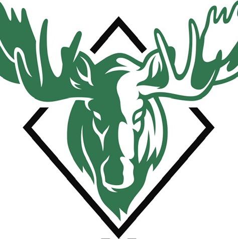 Prince Albert moose