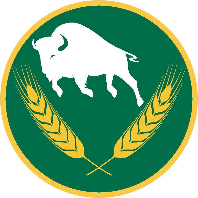 Bridge city bisons