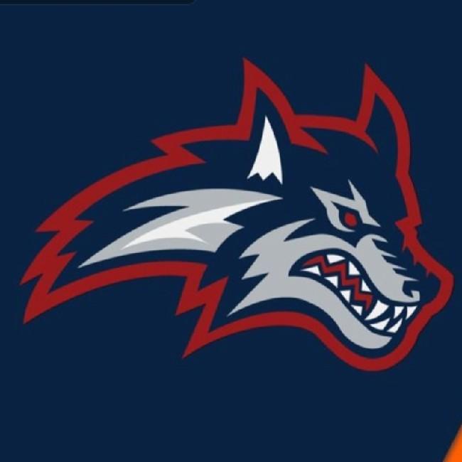 STONY BROOK SEAWOLVES