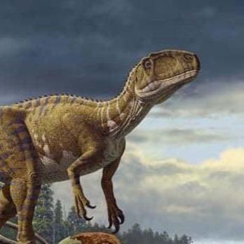 Fukuiraptor