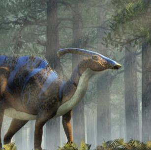 Parasaurolophus