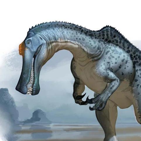 Irritator