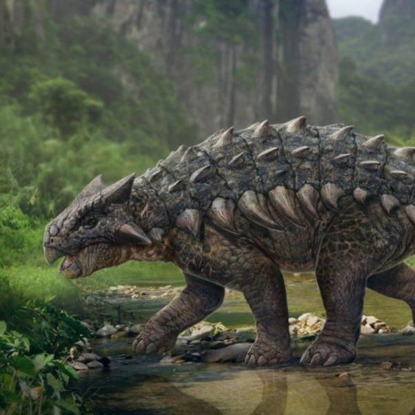 Ankylosaurus