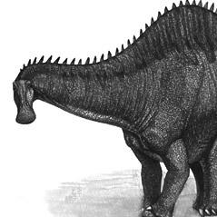 Rebbachisaurus