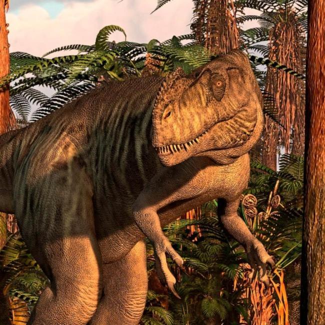Megalosaurus