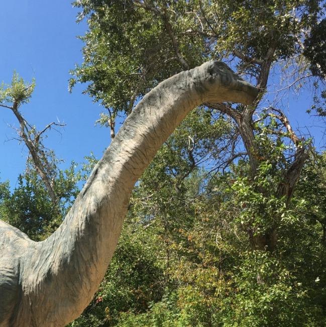 Apatosaurus