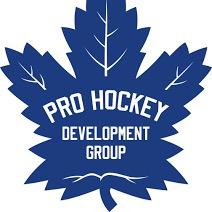 Toronto pro hockey