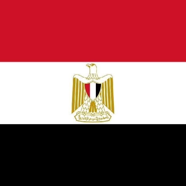 🇪🇬 Haalandinho