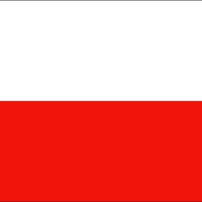 🇵🇱 Arthur