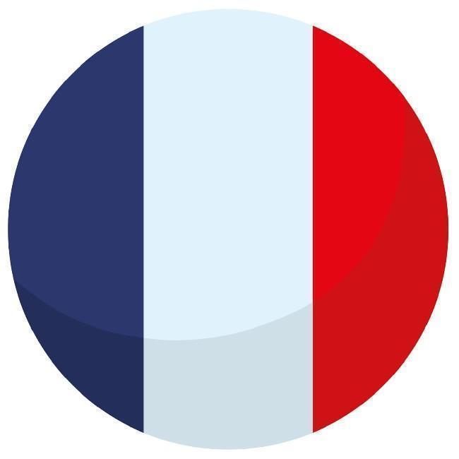 🇫🇷 Gabriel S