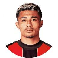 Araujo