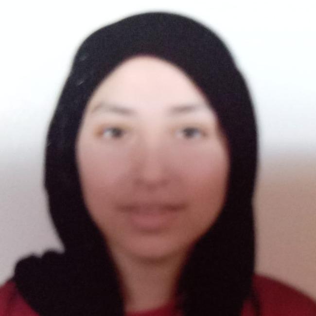 نور مدحت