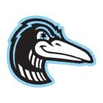 MINNESOTA BLUEHAWK
