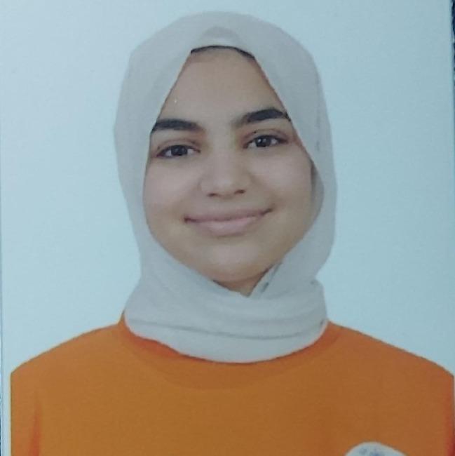 لي لي محمد عصام الدين