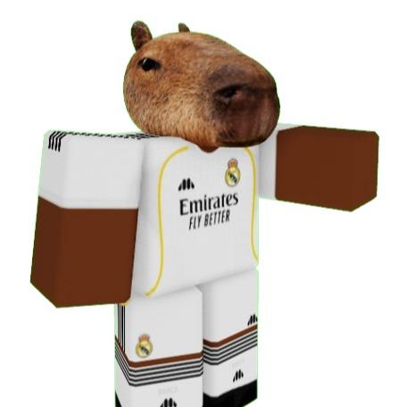 capybara359