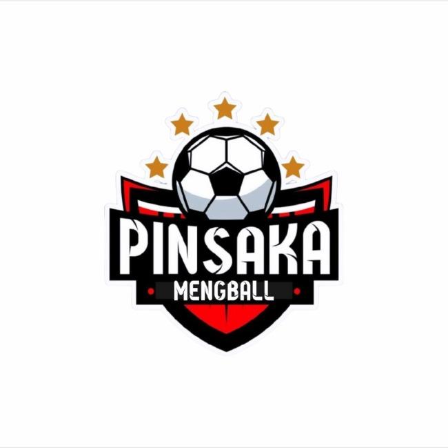 PINSAKA MENGBALL