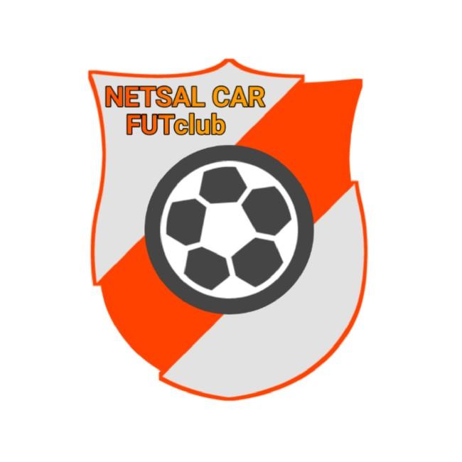 Netsal Car