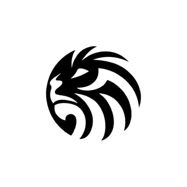 Lions Madrid