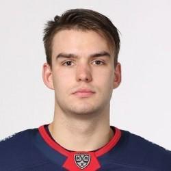 Минеев Максим