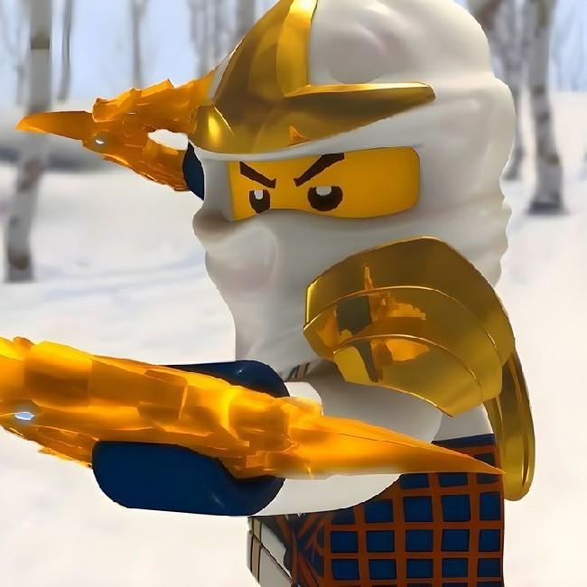 angry birdback