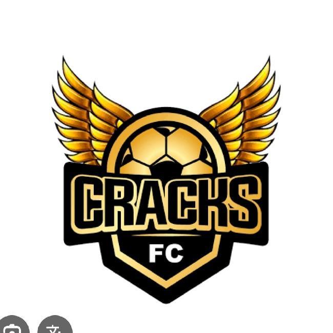 Cracks fc