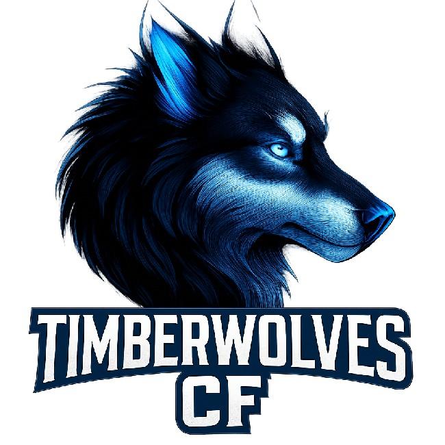 Timberwolves CF