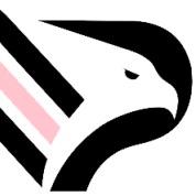 Palermo FC