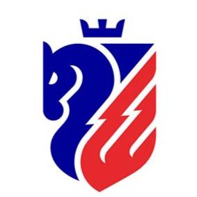 FC Botoșani