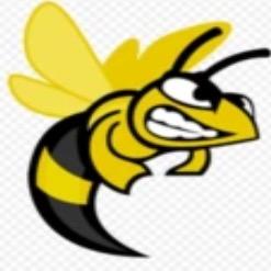 Suny broom hornets