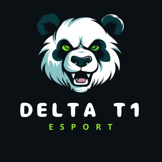 DELTA TERMINAL 1
