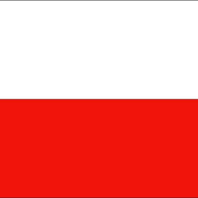 🇵🇱 Mateus Henrique