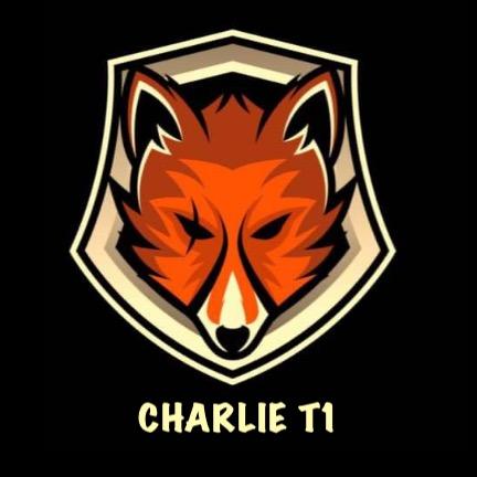 CHARLIE TERMINAL 1