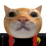 vivo_FN
