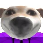AbbieJackie221