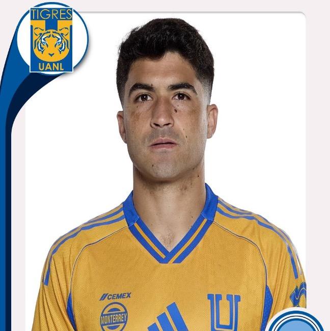 Nicolás Ibáñez