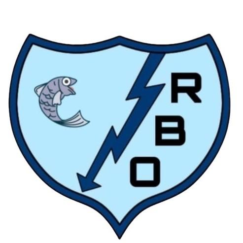 Rayo boquerón